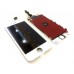Дисплей для iPhone 5S белый